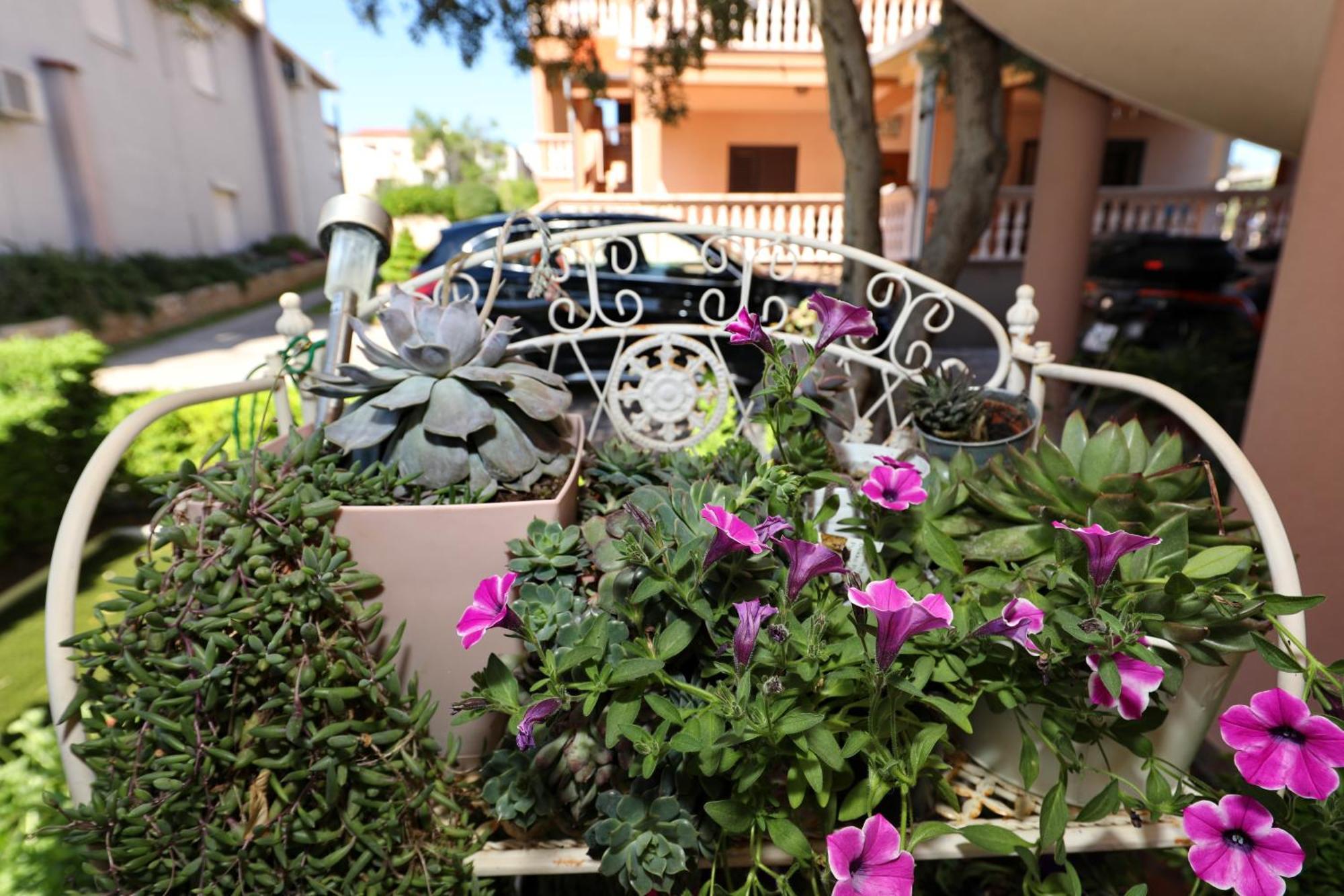 Villa Dalmatino ปาโกชตาเน ภายนอก รูปภาพ