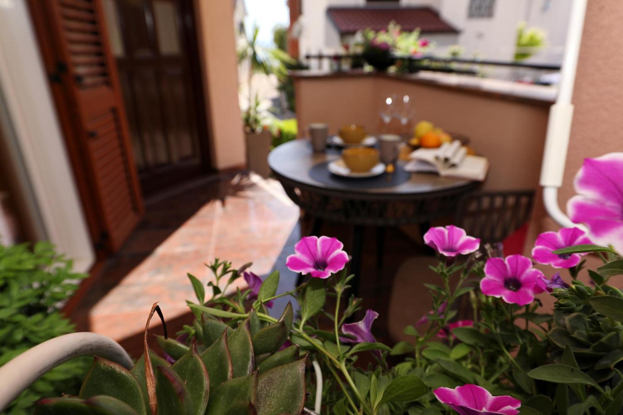 Villa Dalmatino ปาโกชตาเน ภายนอก รูปภาพ
